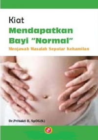 Image of Kiat Mendapatkan Bayi 