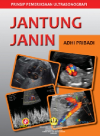 Image of Prinsip Pemeriksaan Ultrasonografi: Jantung Janin